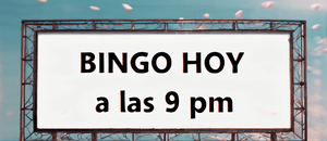 Bingo en Línea